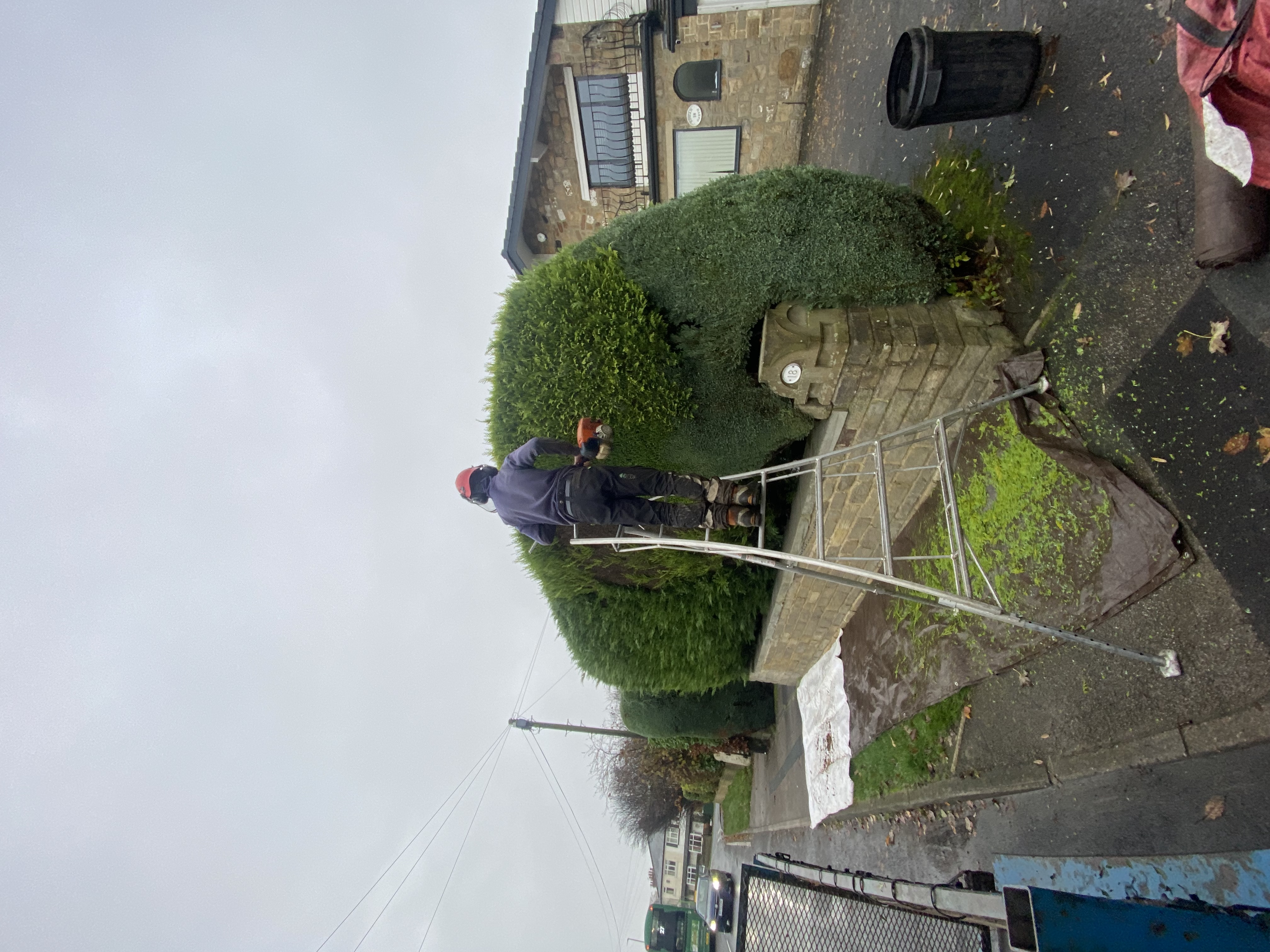 Soft landscaping work in Stockport (2)