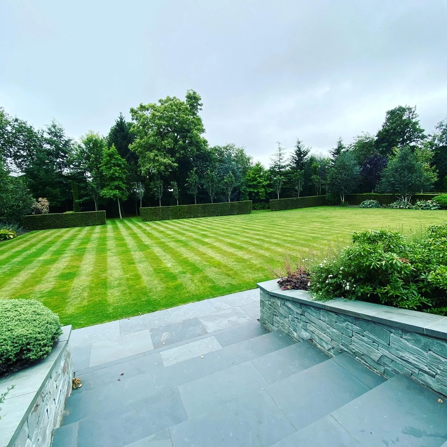 Ongoing garden care in Stockport (10)