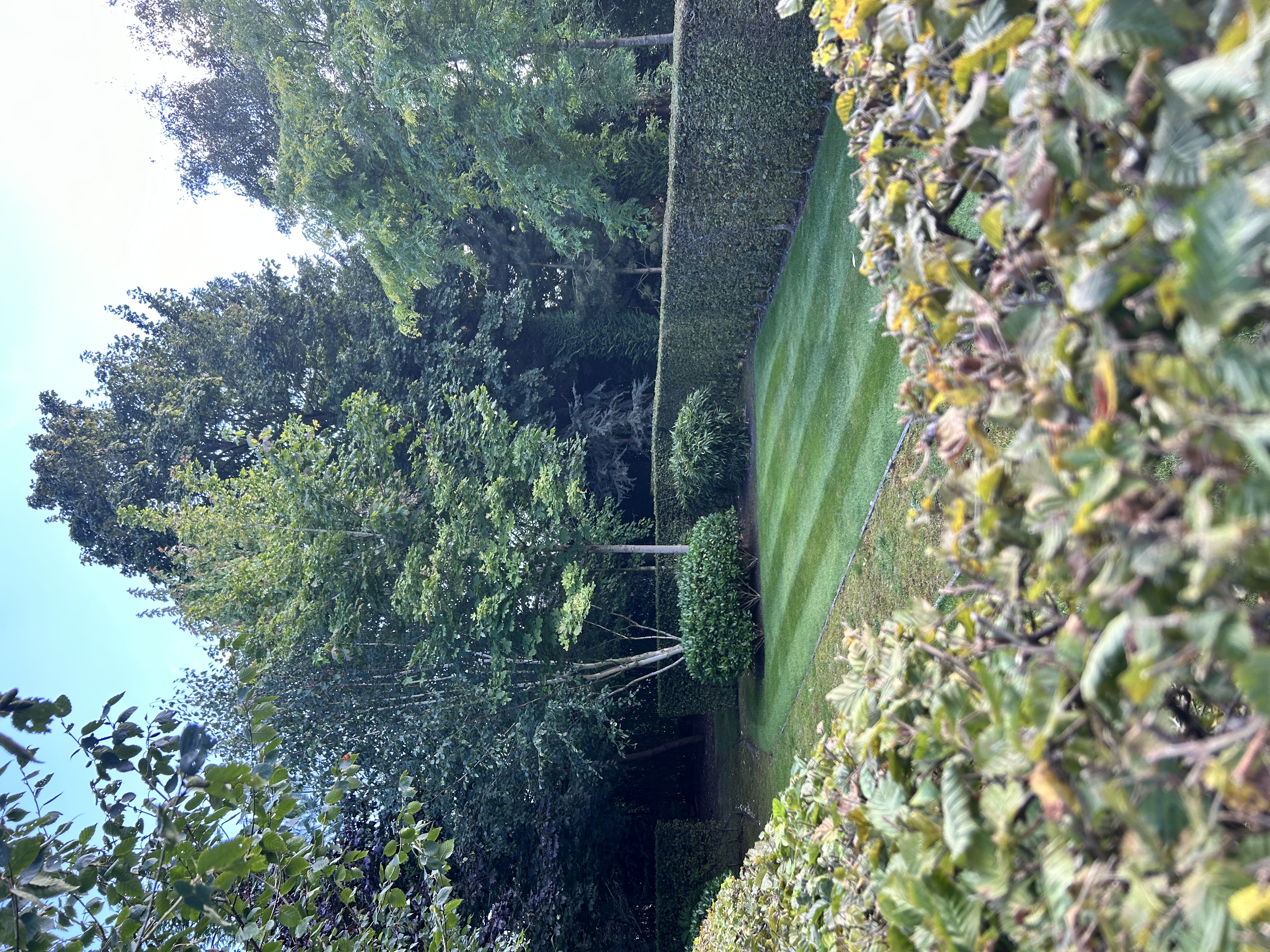 Pressure washing project