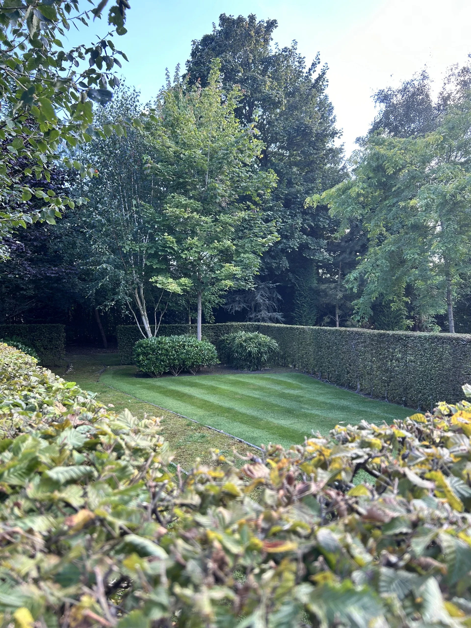 Ongoing garden care in Stockport (4)
