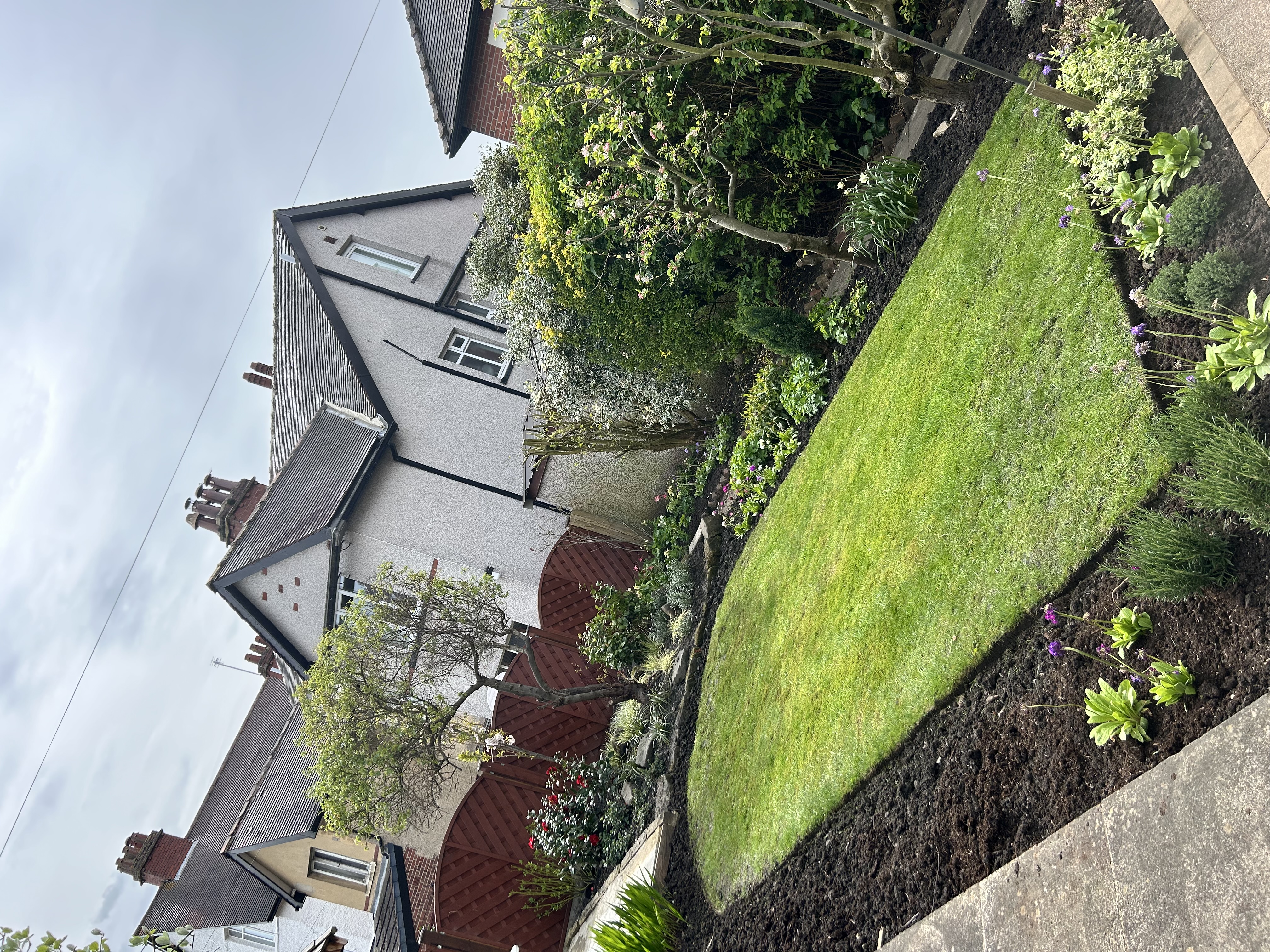 Commercial grounds project