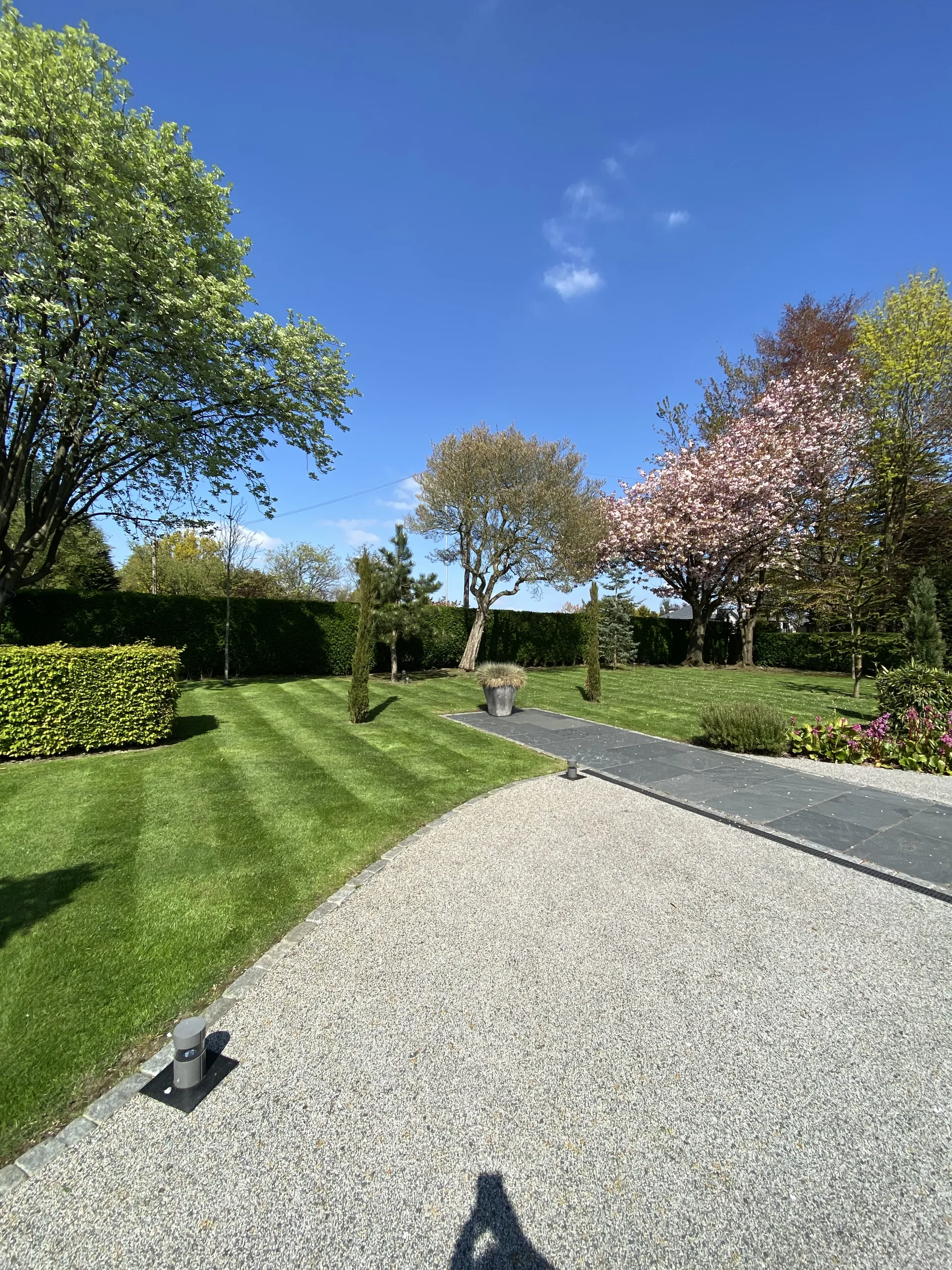 Ongoing garden care in Stockport (8)