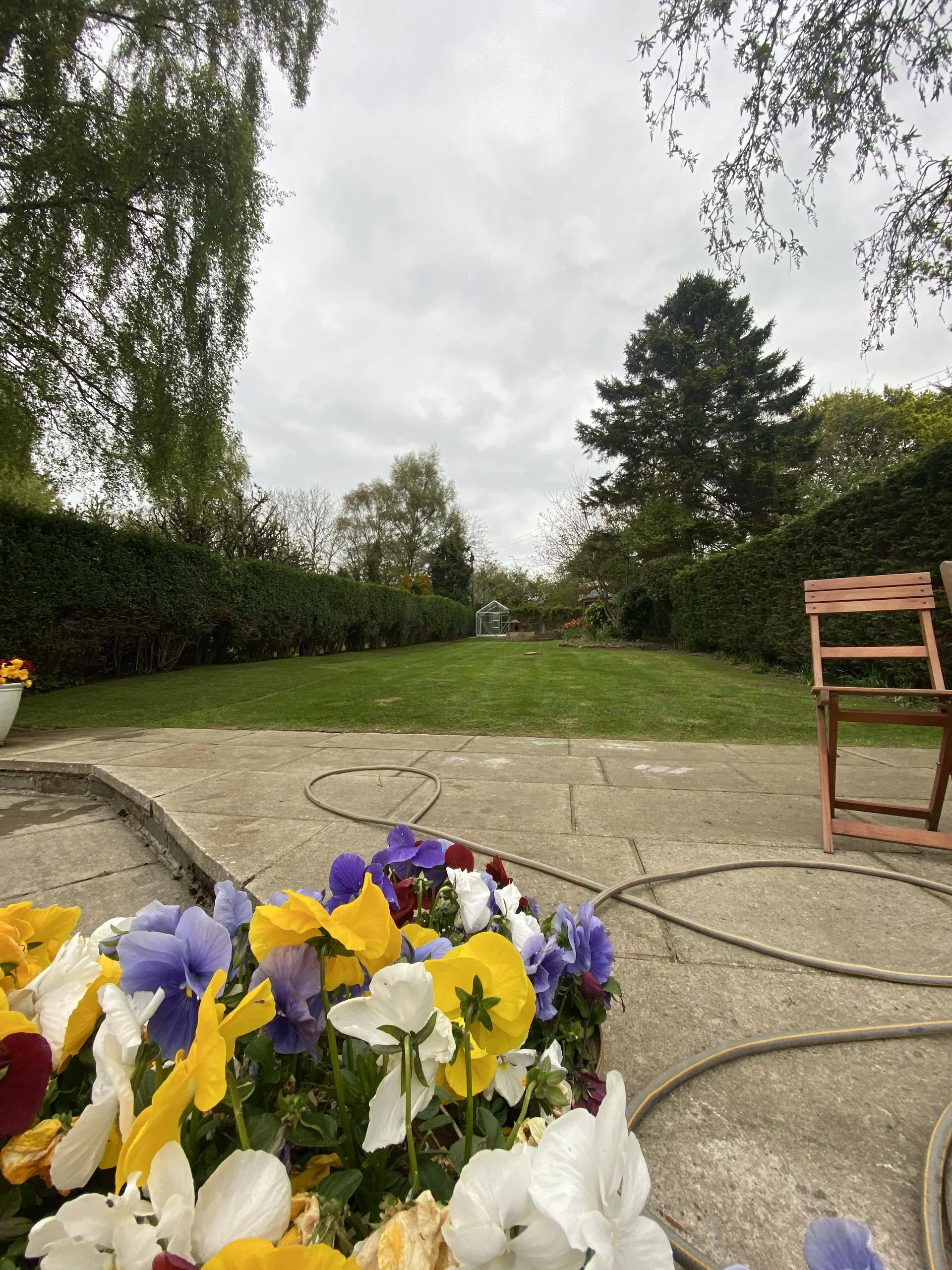 Ongoing garden care in Stockport (9)